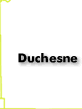Duchesne County